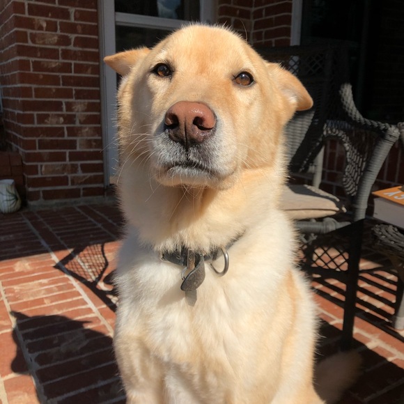 Meet the Posher, Joann - Picture 7 of 16